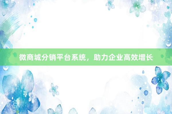 微商城分销平台系统，助力企业高效增长