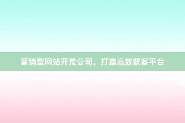 营销型网站开荒公司，打造高效获客平台