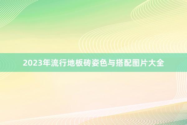 2023年流行地板砖姿色与搭配图片大全