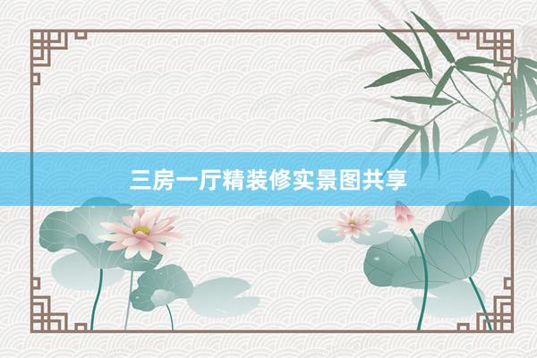 三房一厅精装修实景图共享